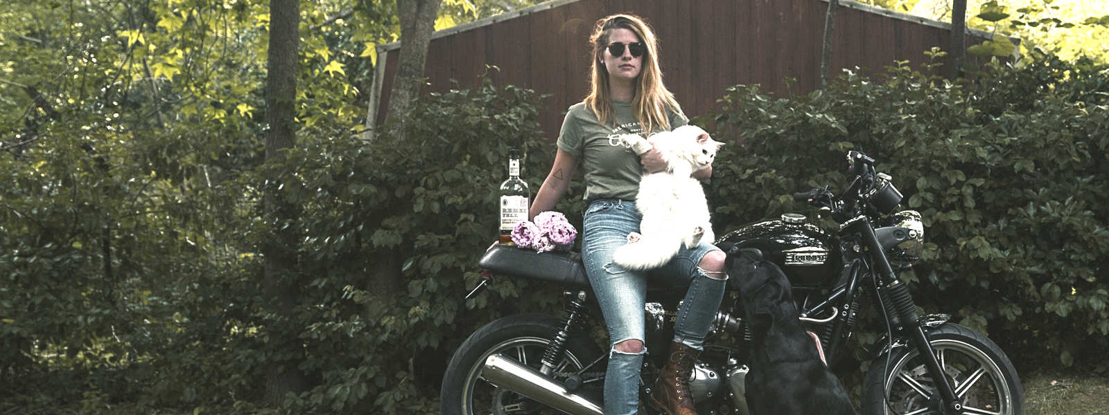 Katie, cats, and motorcycles