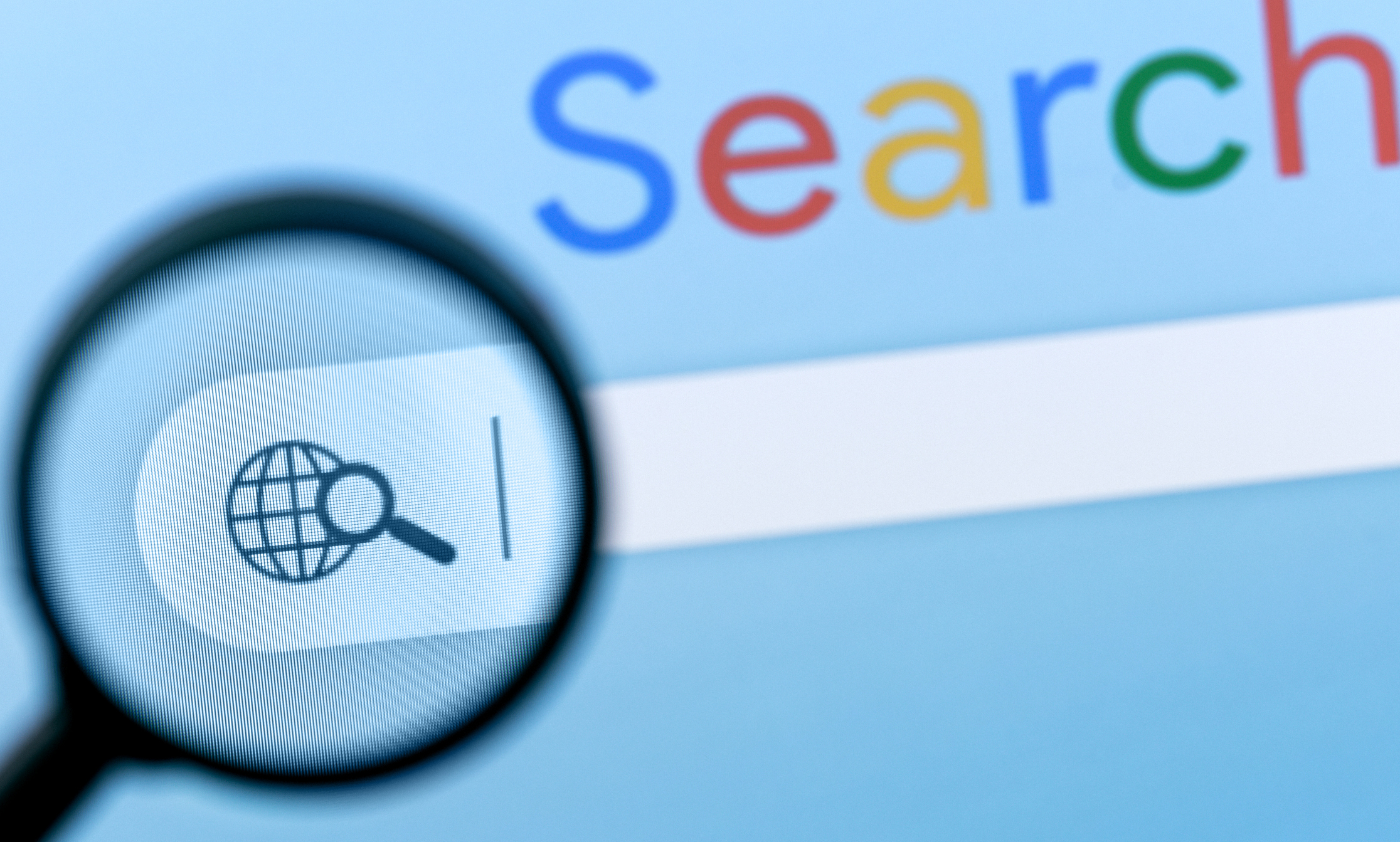 search field on website