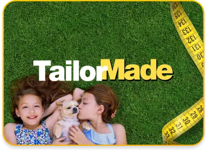 Tailor Made case study image