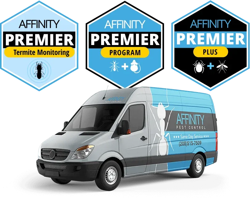 affinity pest van packages graphic