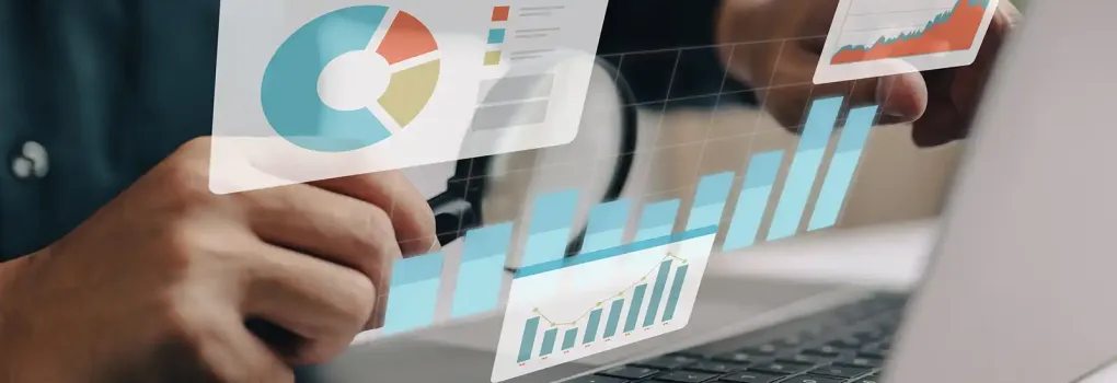 pie charts and bar graphs