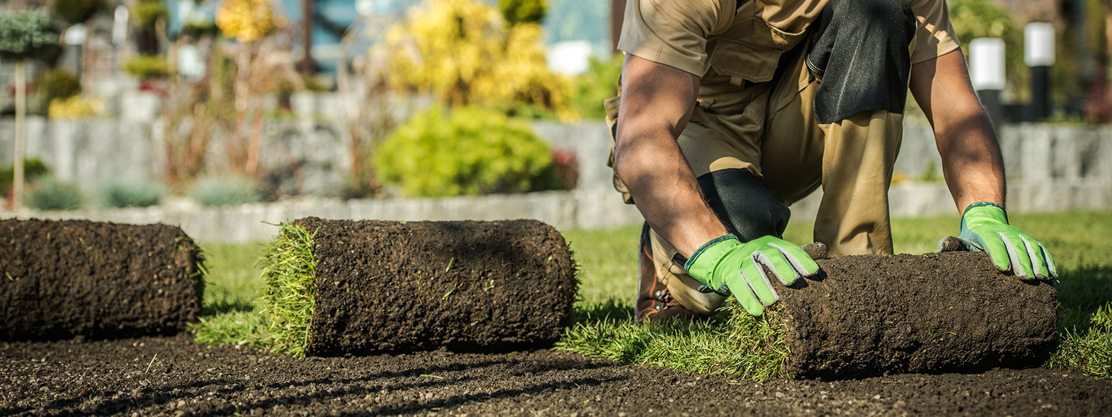 lawn care