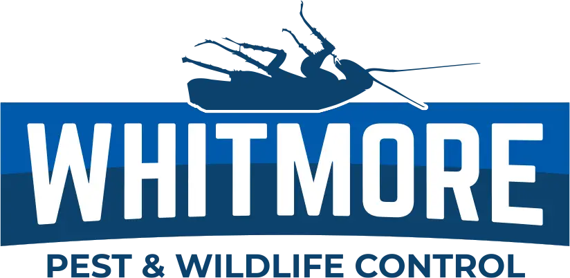 Whitmore Pest and Wildlife Control
