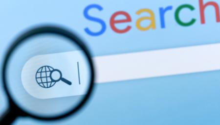 search field on website