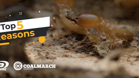 HTP Termite & Pest Control Loves Working With Coalmarch